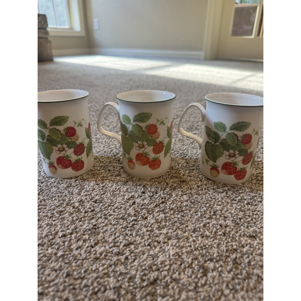Roy Kirkham Strawberry Fruit Garden English Fine Bone China Coffee Tea Mug 1990‎